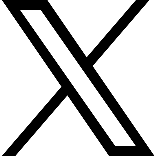 X(Twitter) Profile